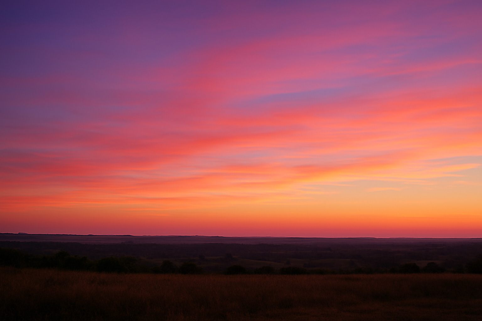 Featured image for “SOZO Monitoring”